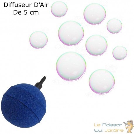 Diffuseur D'Air De 5 cm, Sphérique, Boule, Pour Aérer Les Bassins - Le  Poisson Qui Jardine