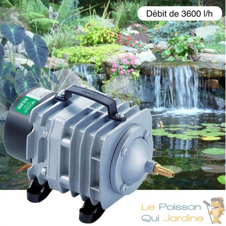 Compresseur, pompe à air aérateur Bassin 3600 l/h pour bassins de jardin -  Le Poisson Qui Jardine