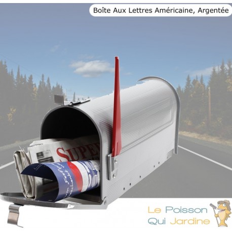 Boîte aux lettres style américaine. Argentée