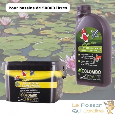 Pack contre l'eau verte des bassins de jardin. Pour 50 m3