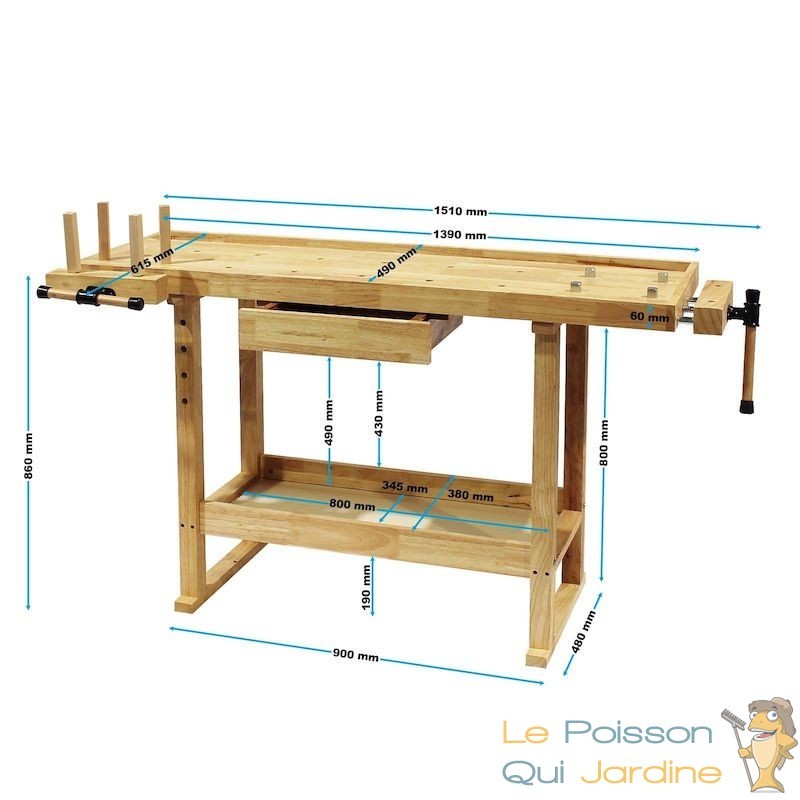 Établi Table de travail idéale pour menuisier pro et amateur - Le Poisson  Qui Jardine