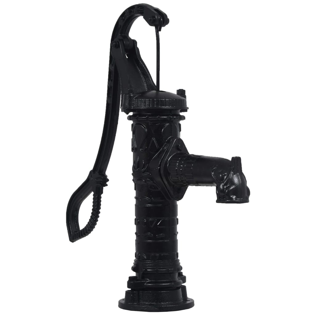 Pompe à eau de jardin Décorée et sculptée : Noire SANS support en fonte