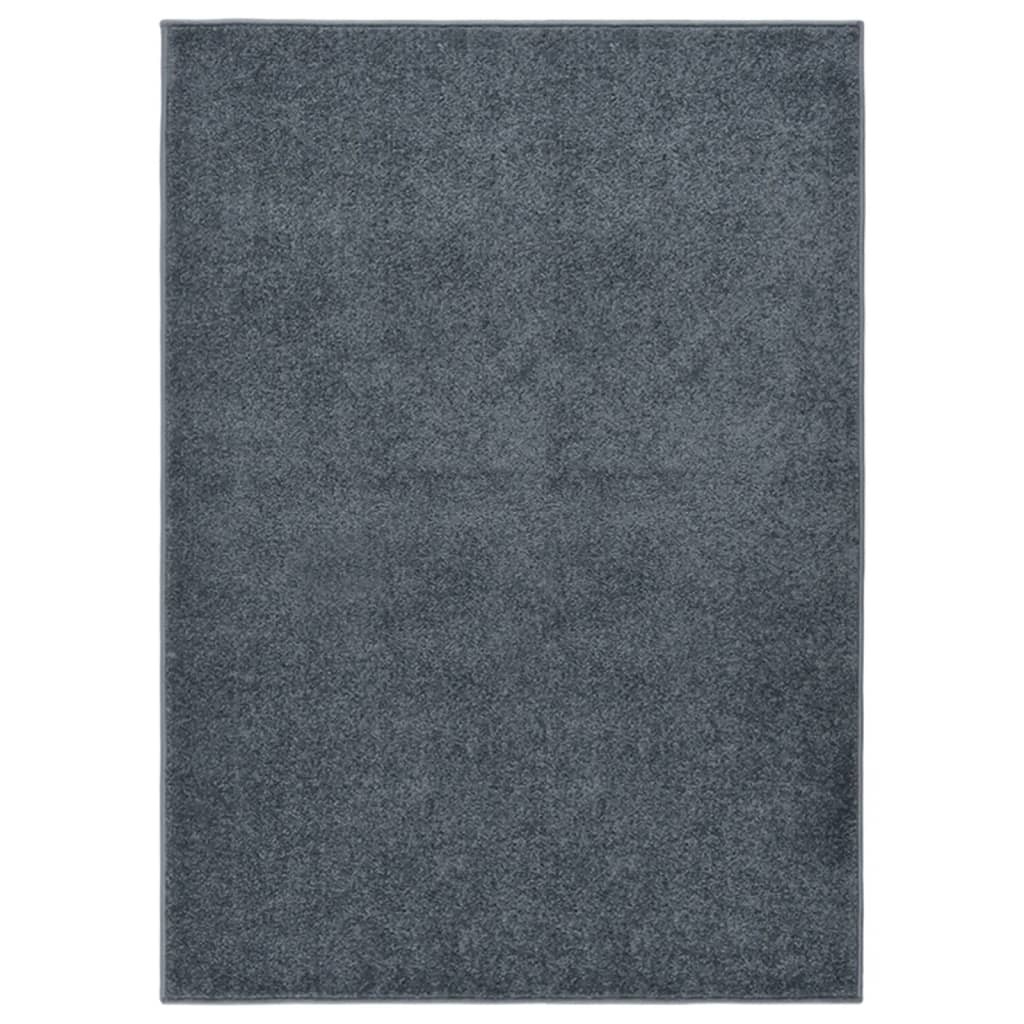 Tapis Salon Poils Courts. Gris Anthracite. 120 X 170. Design, Chaud & Confortable