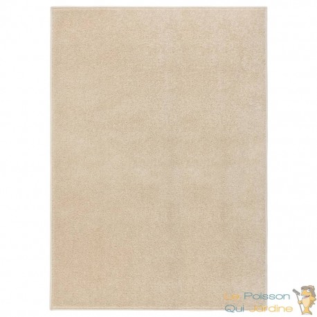 Tapis Salon Poils Courts. Beige. 160 X 230. Design, Chaud & Confortable