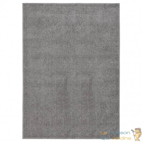 Tapis Salon Poils Courts. Gris. 200 X 290. Design, Chaud & Confortable