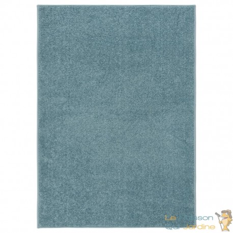 Tapis Salon Poils Courts. Bleu. 200 X 290. Design, Chaud & Confortable