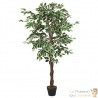 Ficus 80 cm Artificiel. Pour une décoration d'intérieur Sublimée