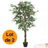 Lot de 2 Ficus 80 cm Artificiels. Pour une décoration d'intérieur Sublimée