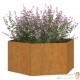 Lot de 2 Jardinières Acier Corten Hexagonale 90 X 90 X 45 cm. Aspect Rouille, Très tendance. Jardin, Patio, Balcon