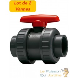 2 Vannes à Billes 50 mm pour bassins de jardin et irrigation