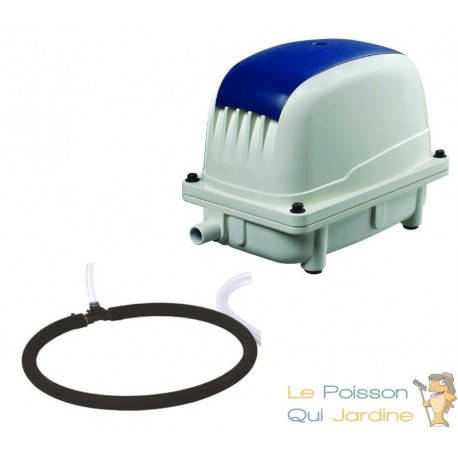 Set Aérateur Bassin Pompe à air 2100 l/h 1 diffuseur 35 cm SILENCIEUX. Pour 4000 litres environ